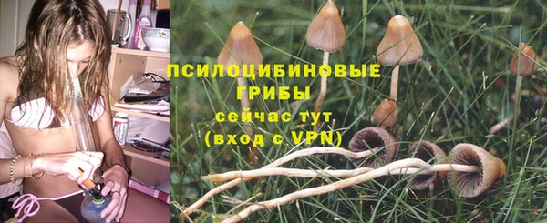 трава Беломорск